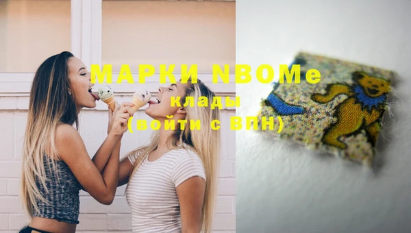 хмурый Дмитров