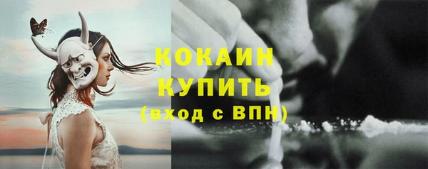 хмурый Дмитров