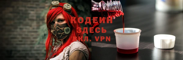 хмурый Дмитров