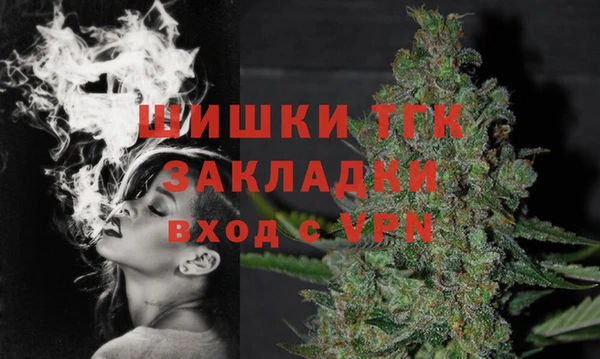 хмурый Дмитров