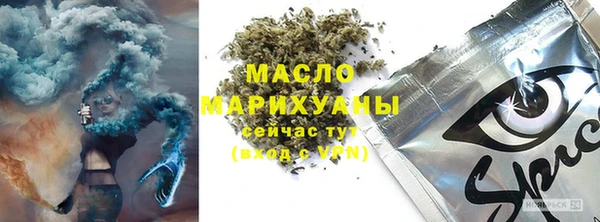 хмурый Дмитров