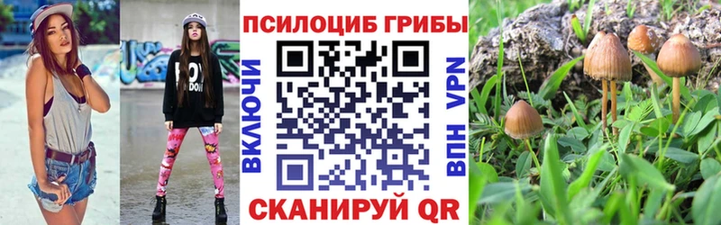 Галлюциногенные грибы GOLDEN TEACHER Волгореченск